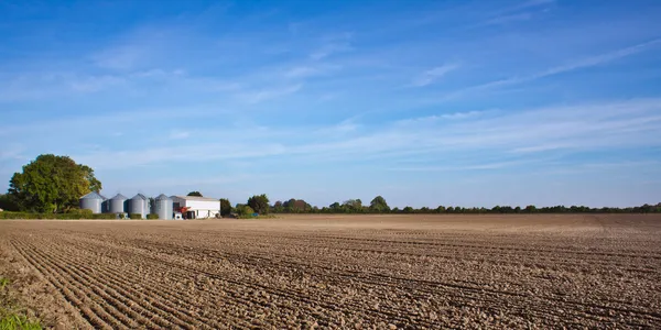 Agrarlandschaft — Stockfoto