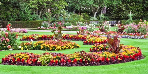 Jardín de verano — Foto de Stock