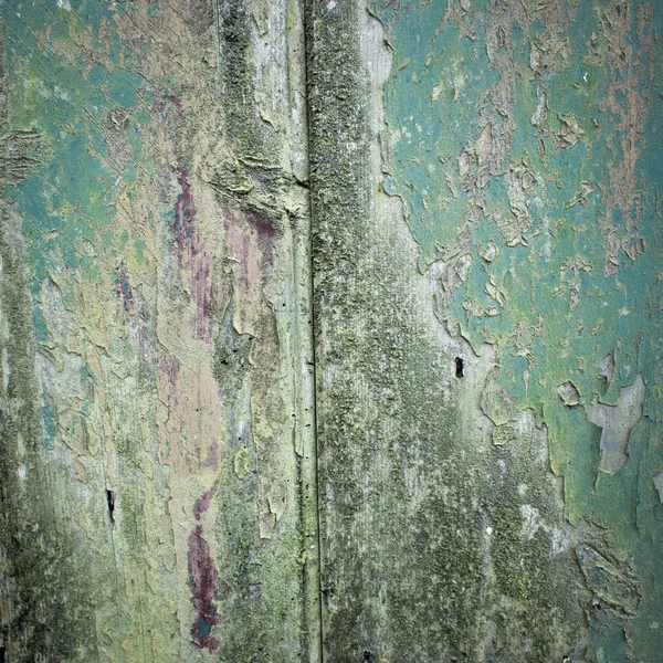 Вымотанное дерево — стоковое фото