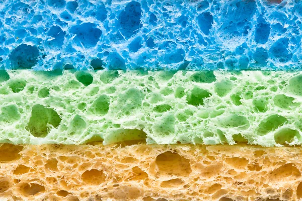 Cellulose sponges — Stock Photo, Image