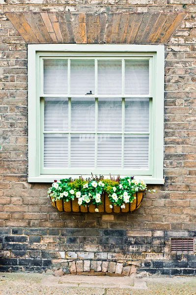 Schaufenster — Stockfoto