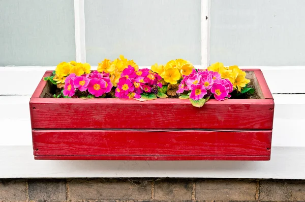 Window box — Stock Photo, Image