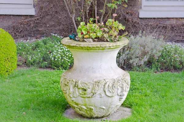 Garden pot — Stock Photo, Image