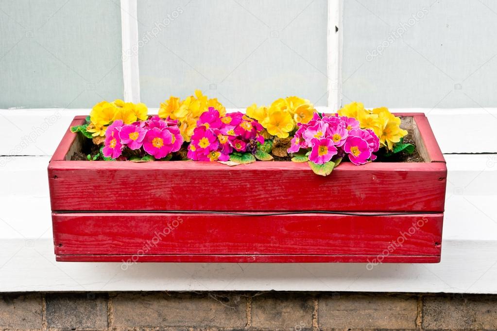 Window box Stock Photo by ©trgowanlock 43531903