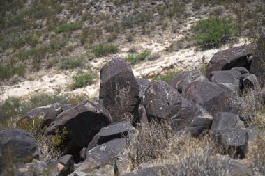 Üç Nehir Petroglifleri Bölgesi Tularosa 'nın kuzeyinde, NM