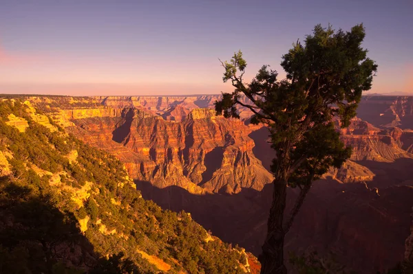 Pôr Sol Área Pousada Borda Norte Grand Canyon — Fotografia de Stock