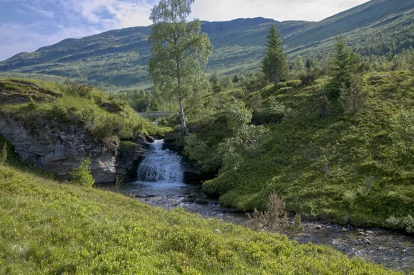 Hiking Vigdal Valley Breheimen National Park Norway — 스톡 사진