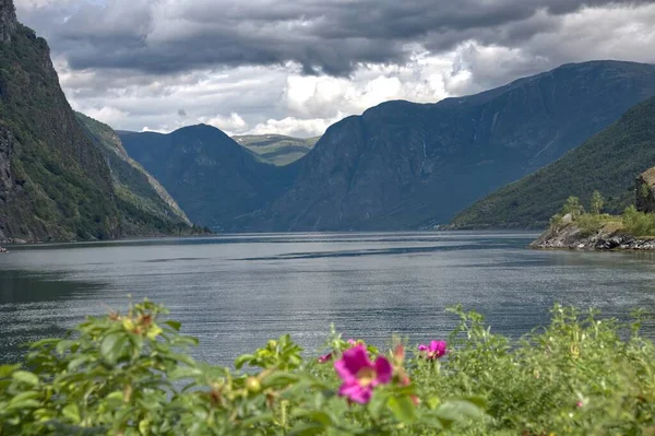 Фальма Норвегія — стокове фото