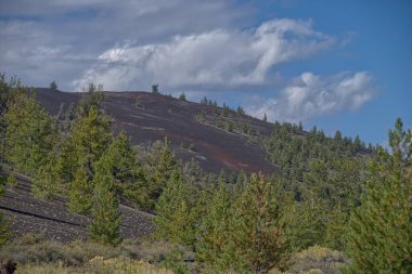 Idaho 'daki Ay Kraterleri Ulusal Anıtı' nda Paisley Konisi