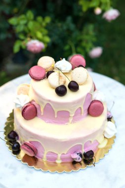 Fruit cake decorated with cherries and French macaroni served on a marble table against the background of a garden with blooming roses