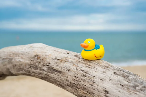 Yellow Rubber Duckling Tree Sea Concept Vacation Tourism Travel Selective — Stock Photo, Image