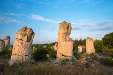 Bulgaristan 'ın Varna ilindeki Taş Çölü Pobiti Kamani - muhteşem kaya fenomeni - turizm beldesi