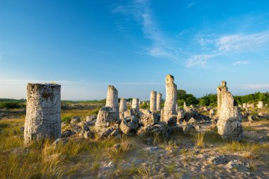 Bulgaristan 'ın Varna ilindeki Taş Çölü Pobiti Kamani - muhteşem kaya fenomeni - turizm beldesi