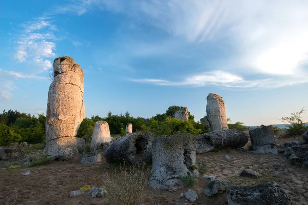 Bulgaristan 'ın Varna ilindeki Taş Çölü Pobiti Kamani - muhteşem kaya fenomeni - turizm beldesi