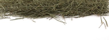 Çam iğneleri beyaz arka planda izole edilmiş. Çam iğneleri beyaza düşer..