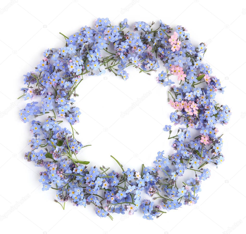 Circle of spring blue flowers Myosotis isolated on white background.  Flowers Myosotis are called forget-me-not or scorpion grasses.