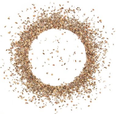 Karışık tohumların dairesel çerçevesi: maydanoz, dereotu, marul, turp, beyaz arka planda izole edilmiş ıspanak. Çeşitli sebzeler ve bitkiler..