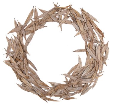 Beyaz arka planda izole edilmiş kuru söğüt yaprakları çemberi. Kışın düşen yaprakların deseni.