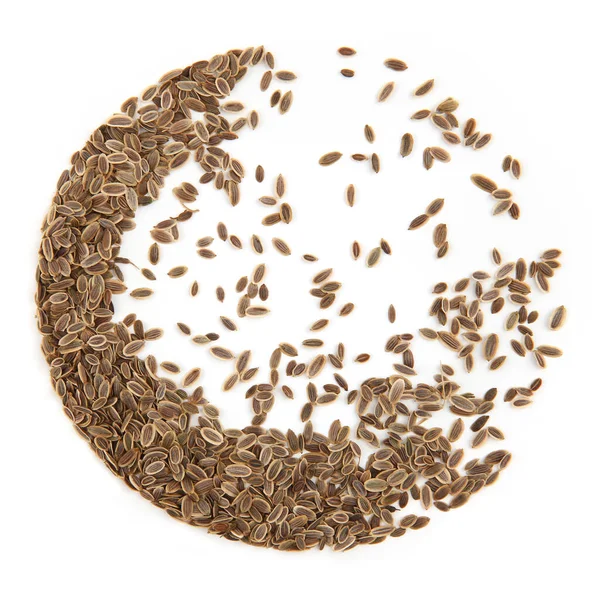 Kulatý Rám Semínek Kopru Izolovaných Bílém Pozadí Kruh Semen Anethum — Stock fotografie