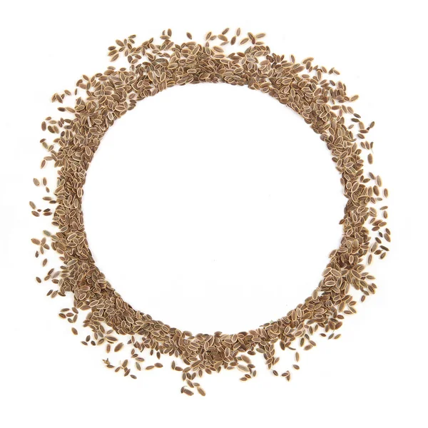 Kruhový Rám Semínek Kopru Izolovaných Bílém Pozadí Kruh Semen Anethum — Stock fotografie