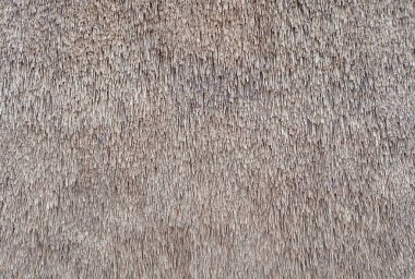 Çatı ya da duvar saman deseni. Thatched çatı dokusu arkaplanı.