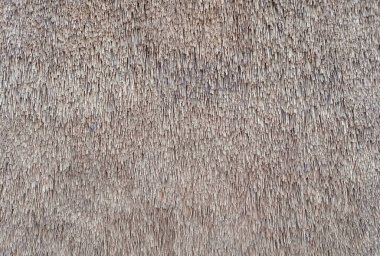 Straw pattern of roof or wall. Thatched roof texture background. clipart