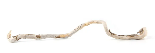 Sea Driftwood Branch Isolated White Background Bleached Dry Aged Drift —  Fotos de Stock