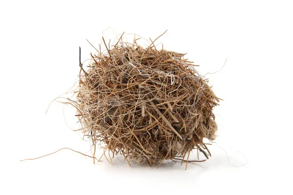 Grass Ball Washed Beach Isolated White Background Ball Dried Plants — 图库照片