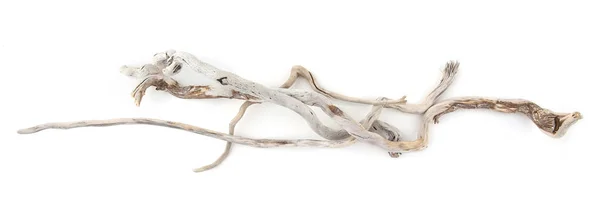 Sea Driftwood Branches Isolated White Background Bleached Dry Aged Drift —  Fotos de Stock