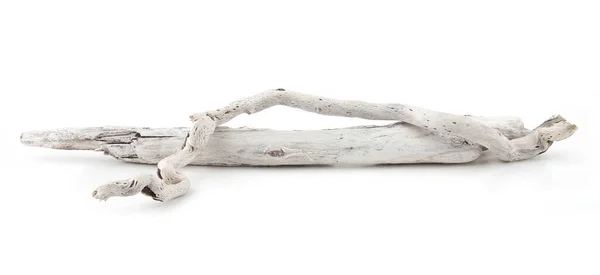 Sea Driftwood Branches Isolated White Background Bleached Dry Aged Drift — Stok Foto