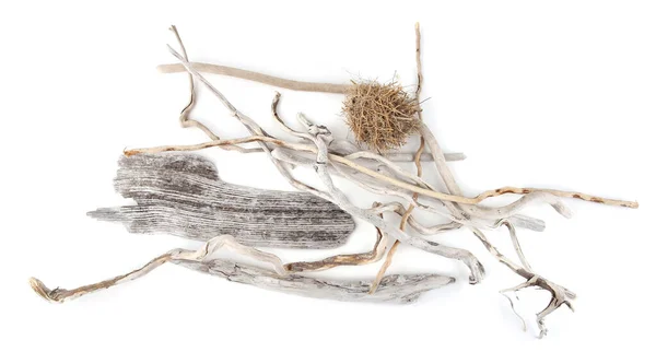 Sea Driftwood Branches Ball Grasses Isolated White Background Dry Drift —  Fotos de Stock