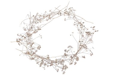 Beyaz arka planda izole edilmiş kuru yabani çayır otları ya da otlar. Kuru tarla çiçeklerinin sınırı. Kış şablonu.