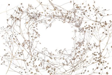 Beyaz arka planda izole edilmiş yabani çayır otları ya da otlar. Fotokopi alanı olan kuru tarla çiçekleri çerçevesi. Kış şablonu.