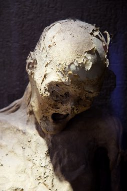 Guanajuato mummy clipart