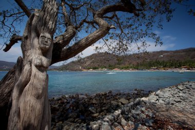 Playa las Gatas