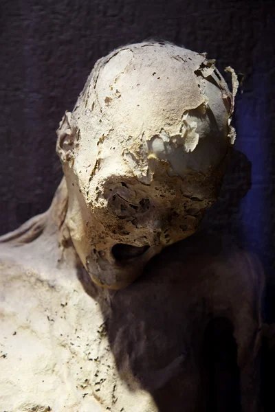 Guanajuato mummy — Stock Photo, Image