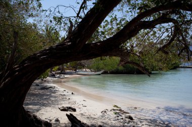 Playa las Gatas