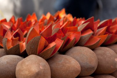 piyasada mamey