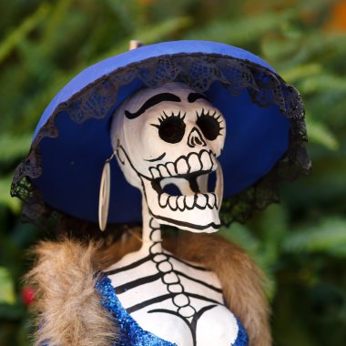 Meksikalı catrina III