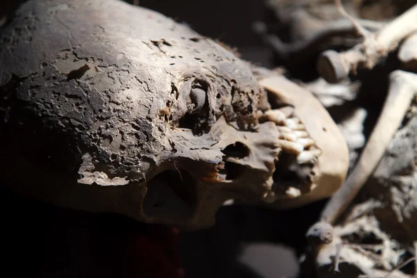 Guanajuato mummy — Stock Photo, Image