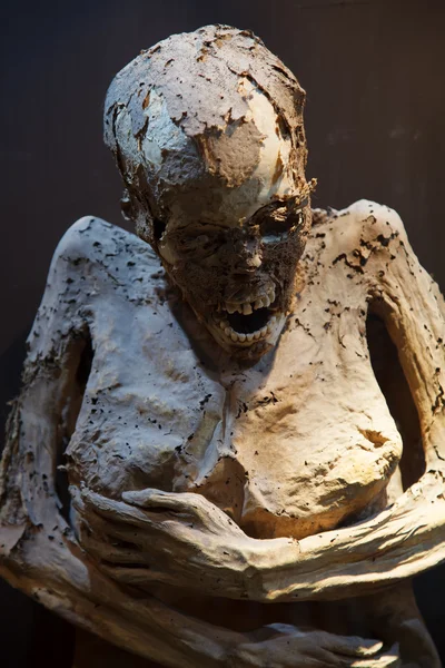 Guanajuato mummy — Stock Photo, Image