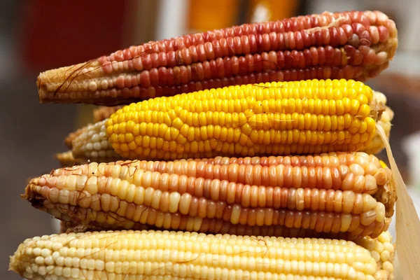 Corn on the cob — Stock Photo, Image