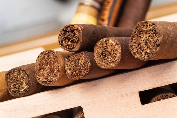 Cigars Close Nice Boke Shallow Depth Field — Foto de Stock