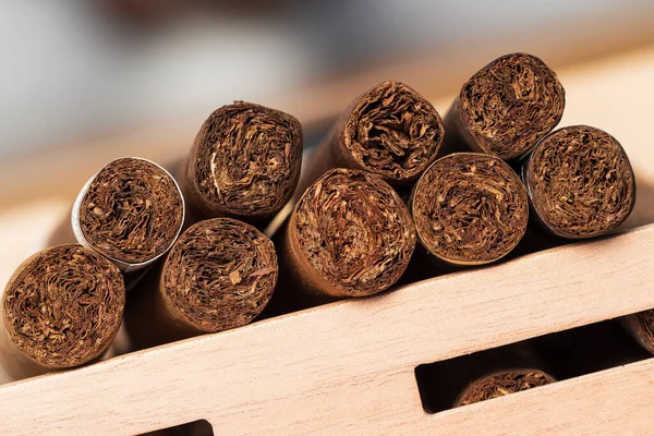 Cigars Close Nice Boke Shallow Depth Field — Stockfoto