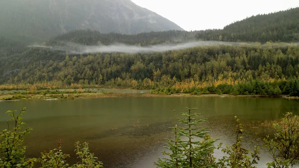 Mendenhall Glacier Surroundings Juneau Alaska Stock Photo