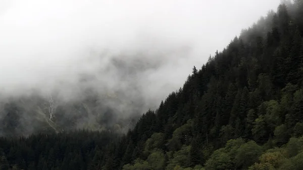 Schöne Neblige Sicht Auf Juneau Alaska lizenzfreie Stockfotos