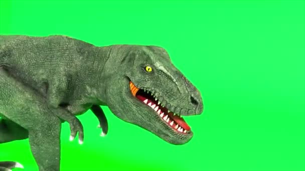 Tyrannosaurus dinosaurie art. Vandrande tyrannosaurus. Grön skärm kromakey. Sömlös slinga 3d render — Stockvideo