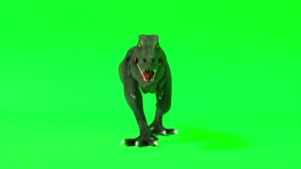 Вид тираннозавра-динозавра. Ходячий тираннозавр. Зеленый экран хромаки. Бесшовный трехмерный рендер — стоковое видео
