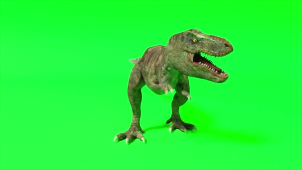 Tyrannosaurus dinozor türü. Trenosaurus çığlık atıyor ve saldırmaya hazır. Yeşil ekran krom anahtarı. Kusursuz 3D döngü oluşturucu — Stok video