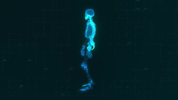 Technologisches Konzept. Gehendes 3D-Modell eines Skeletts auf dem Hintergrund der Technologie. Blaue Farbe. 3D-Animation — Stockvideo